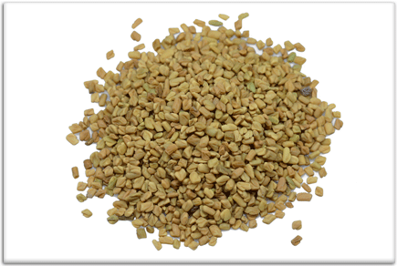 TestRX Booster Fanugreek